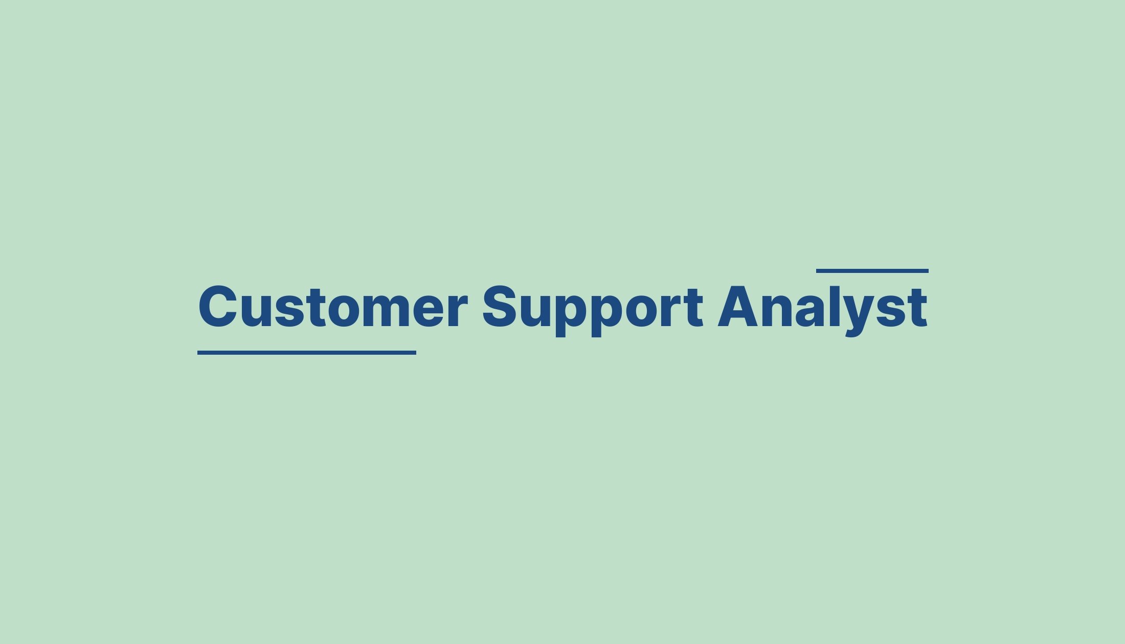 Customer Support Analyst